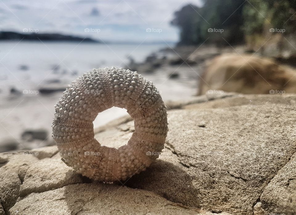 Beach, Sand, Sea, Seashore, Ocean