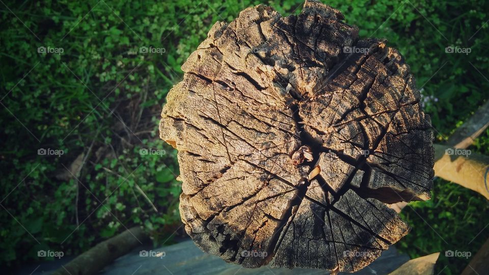 image wood heart