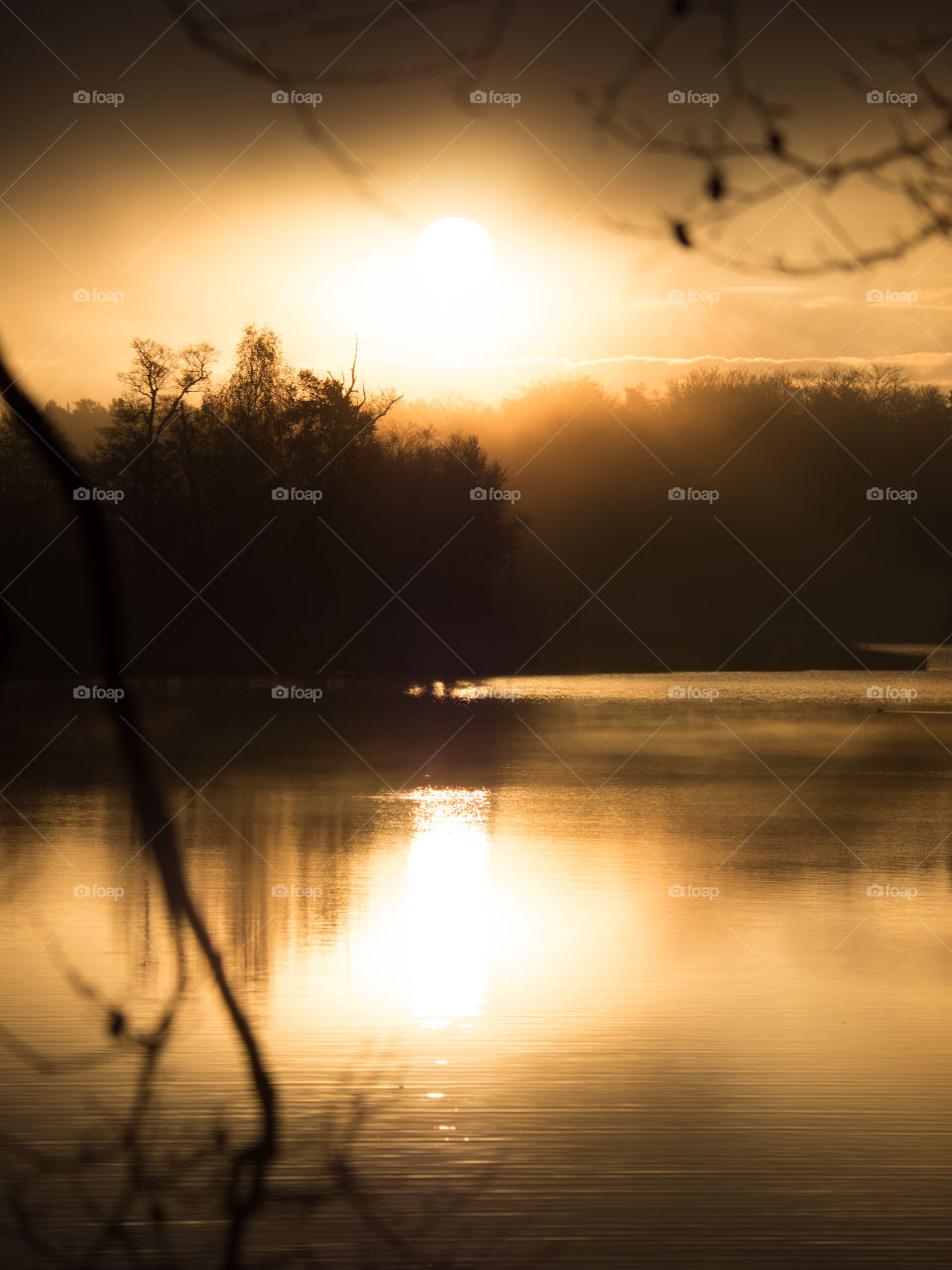 Foggy mornings on the lake shore