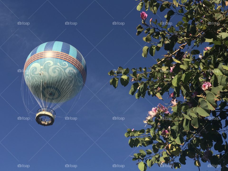 Hot air balloon