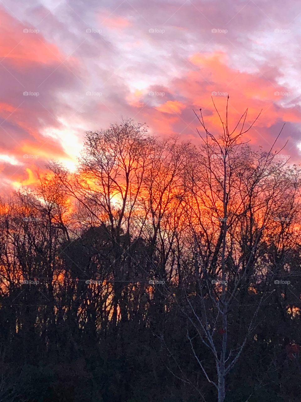 Beautiful evening sun setting against colorful sky clouds and tree lined wooded area November sky 