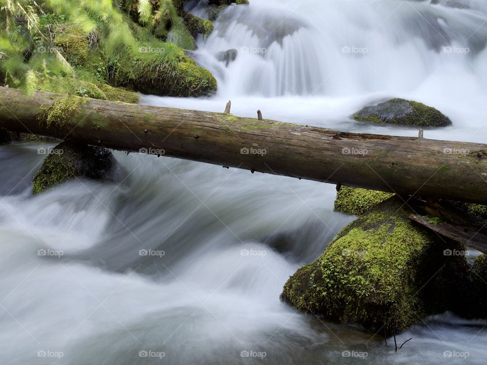 Moss covered rocks and logs in a waterfall in the woods of Southern Oregon on a nice spring day. 