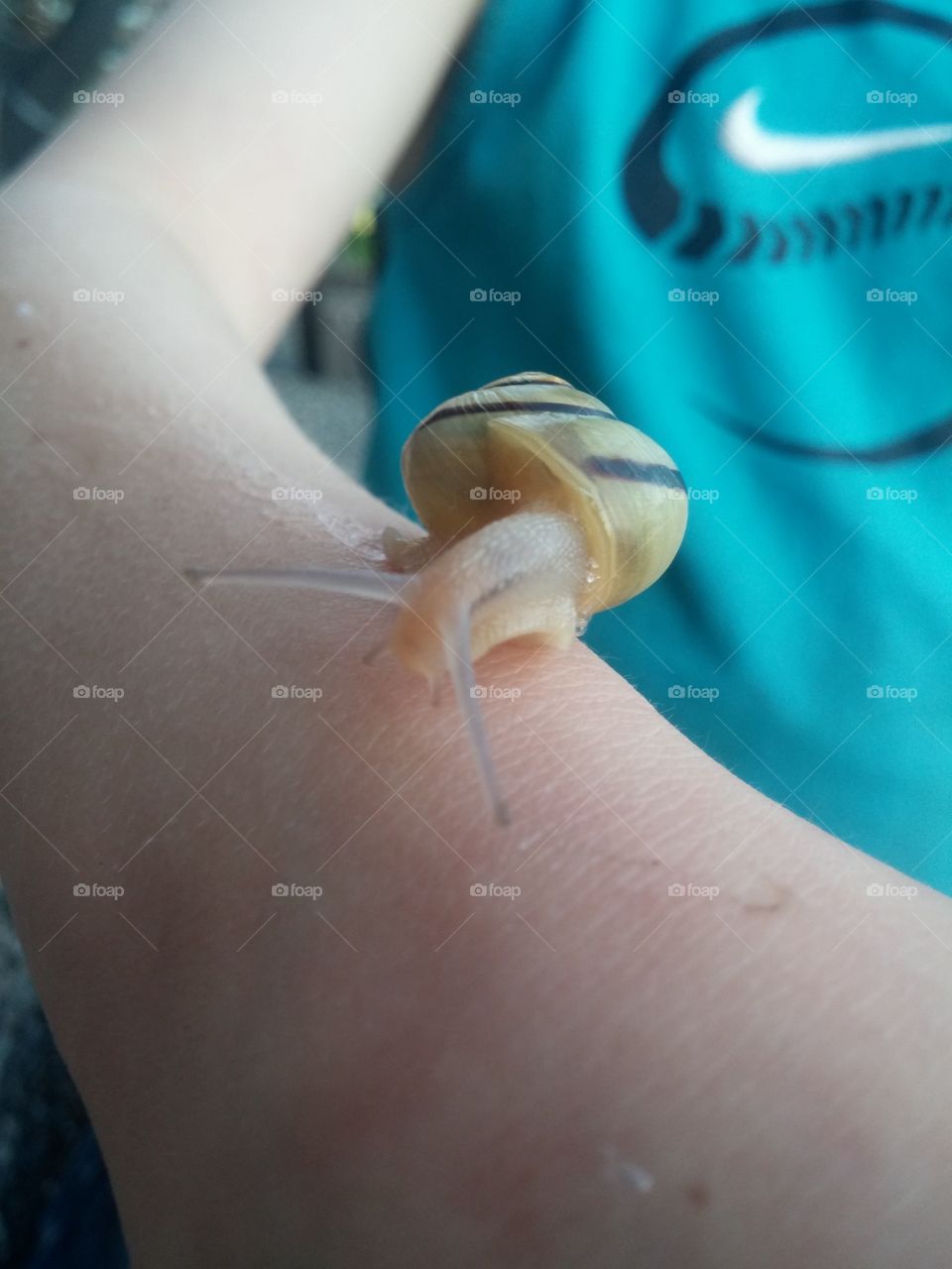 snail macro