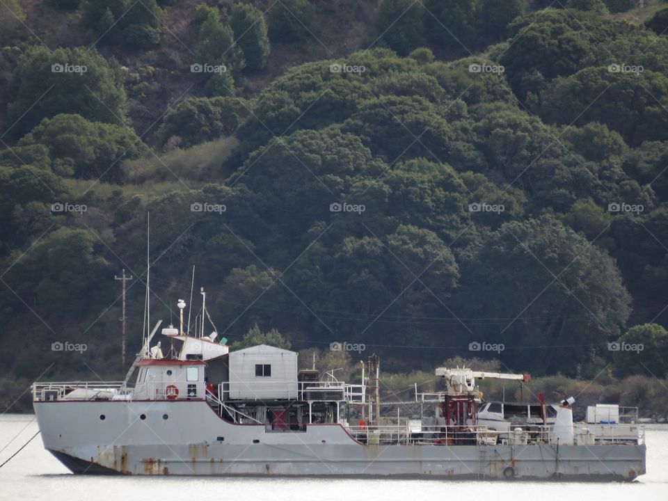 Ship Anchored in the San Pablo Bay