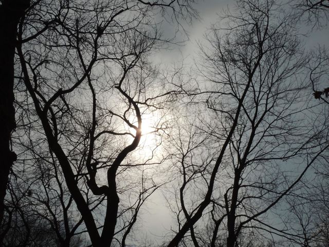 Climate