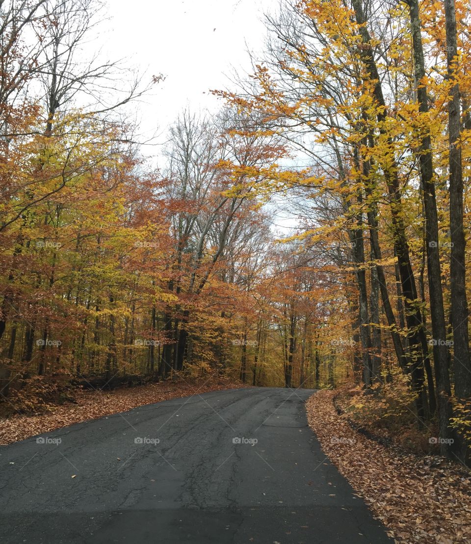 Hickory Run State Park, PA