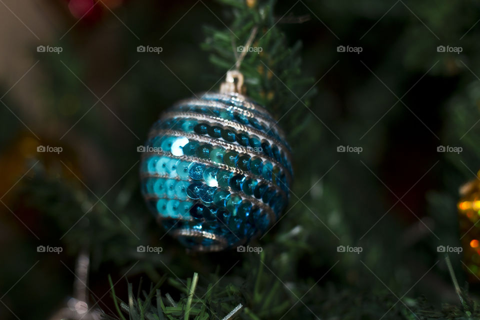 Christmas ornament in a tree