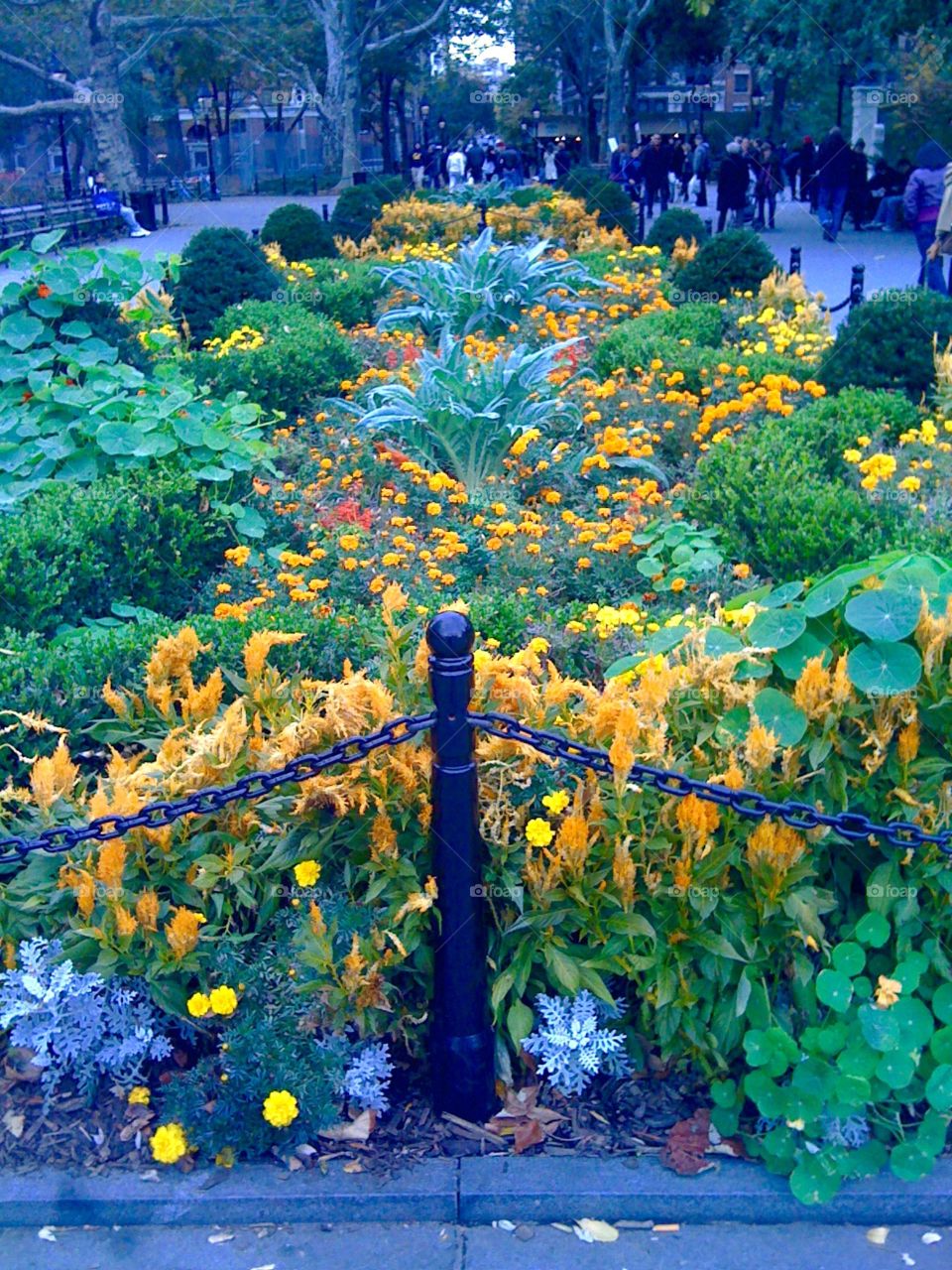 Floral symmetry. A lovely vivid flower garden in the West Village, Manhattan