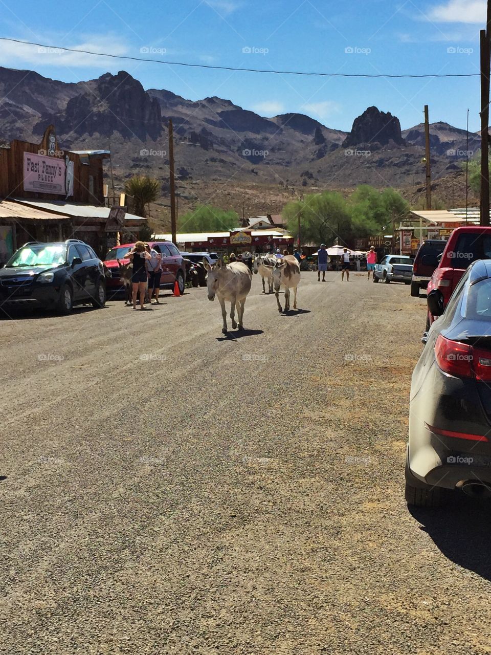 On the Main street of Oatman. On the Main street of Oatman ghost town 