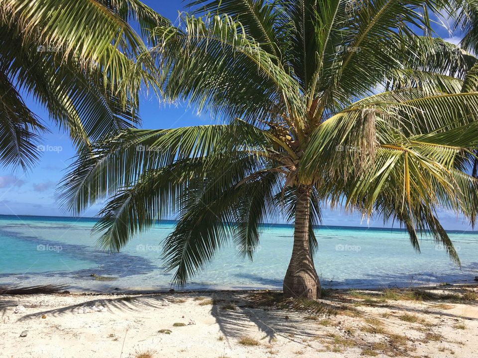 Ahe - heaven on earth - French polynesia