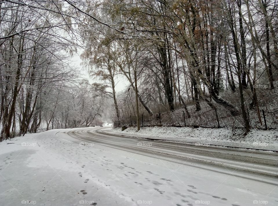 Winter, Snow, Road, Landscape, Cold