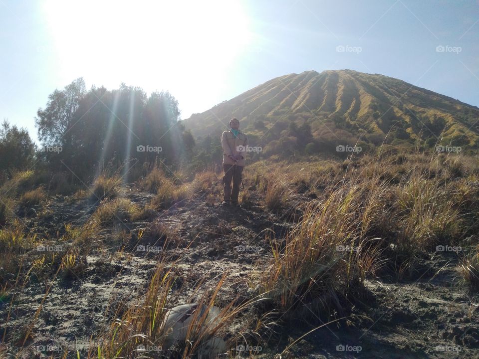 silhauettes and shaddows