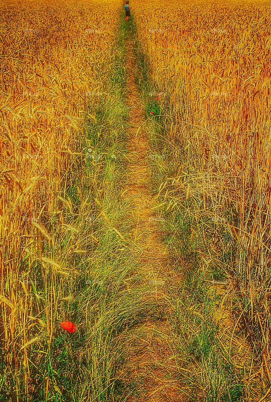 Crops. Woman