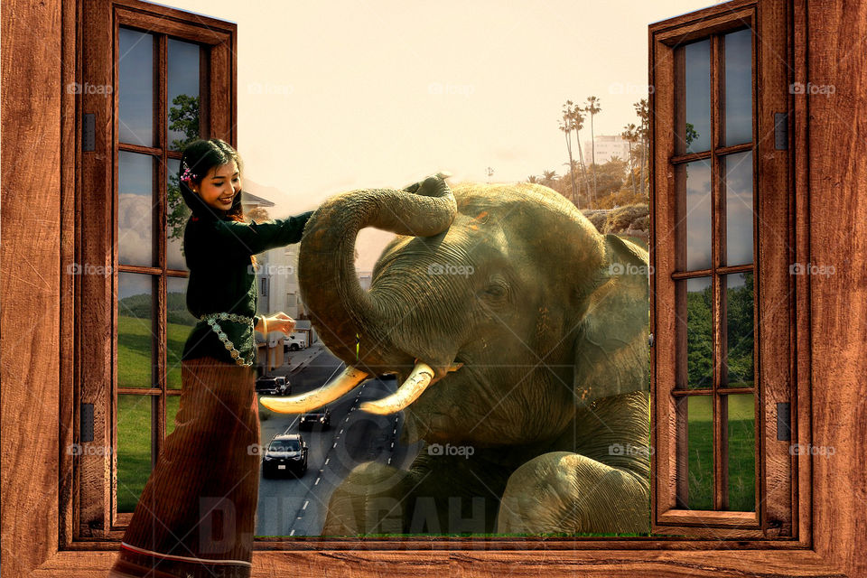 #elephent #girl #window #enviornment #manipulation #ps #adobe #photoshop #edits #3d #designgraphic  #DoubleExposure #effect