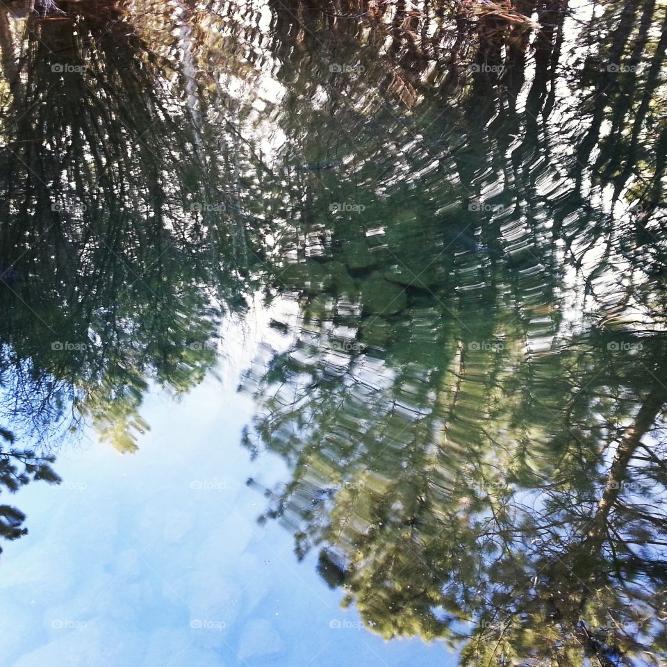 Pond at museum in Bend,  Oregon. reflection of trees in pond