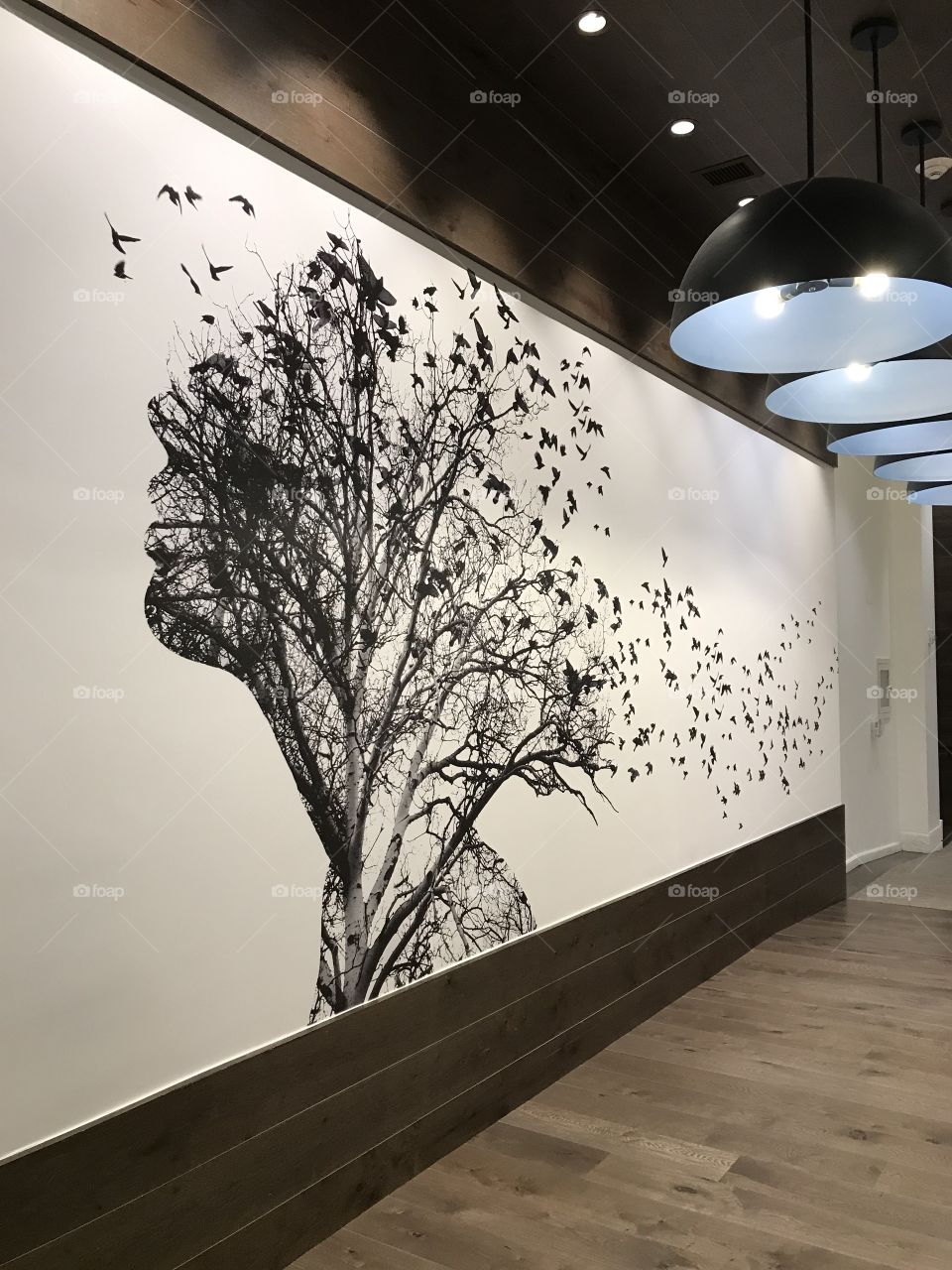 Just your imagination 