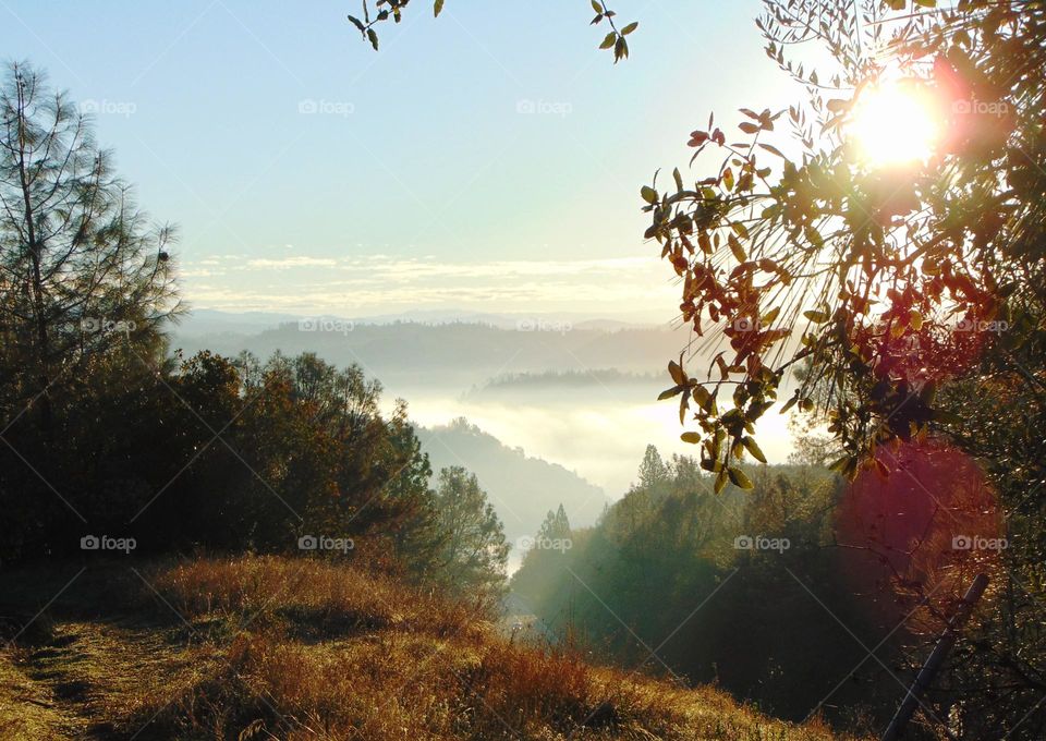 mountain valley view