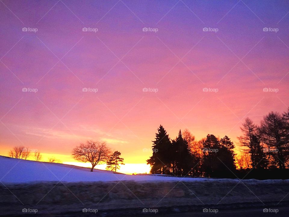 Winter morning sky and landscape 