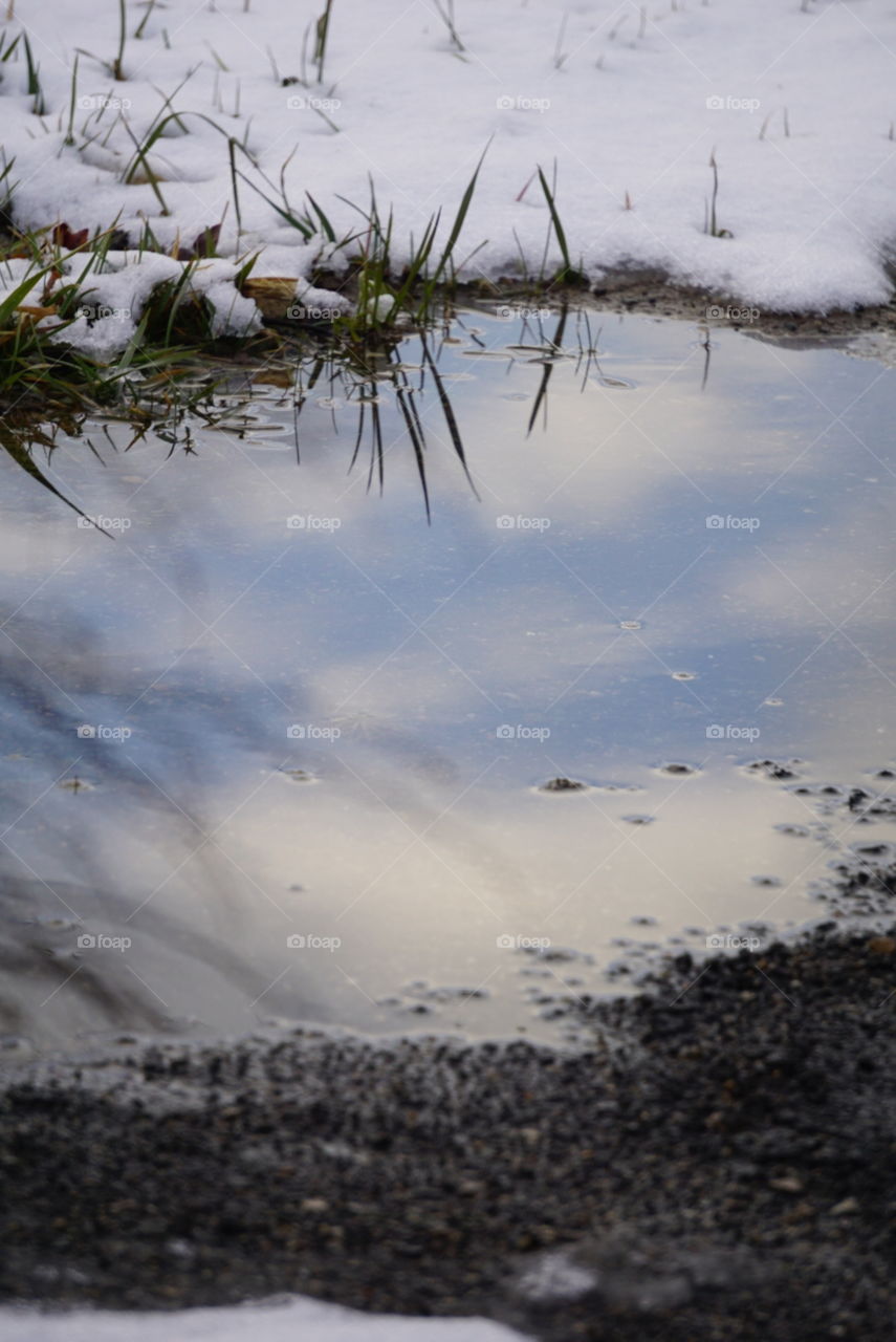 Winter puddle reflections. 