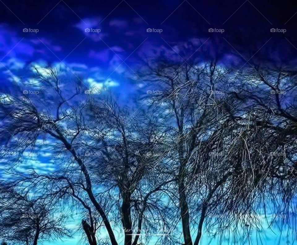 #blue #clouds #tree #nature #sky 