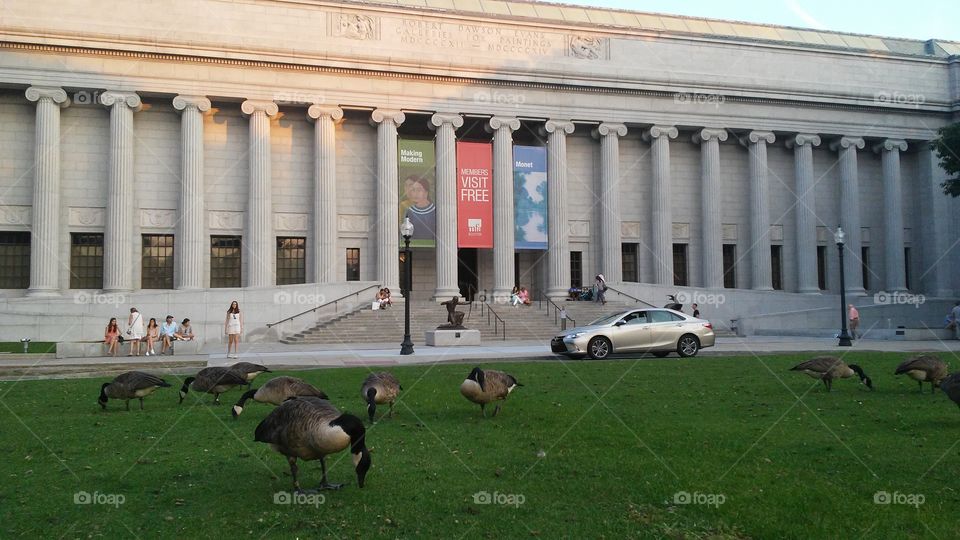 Architecture, No Person, Outdoors, Administration, Building