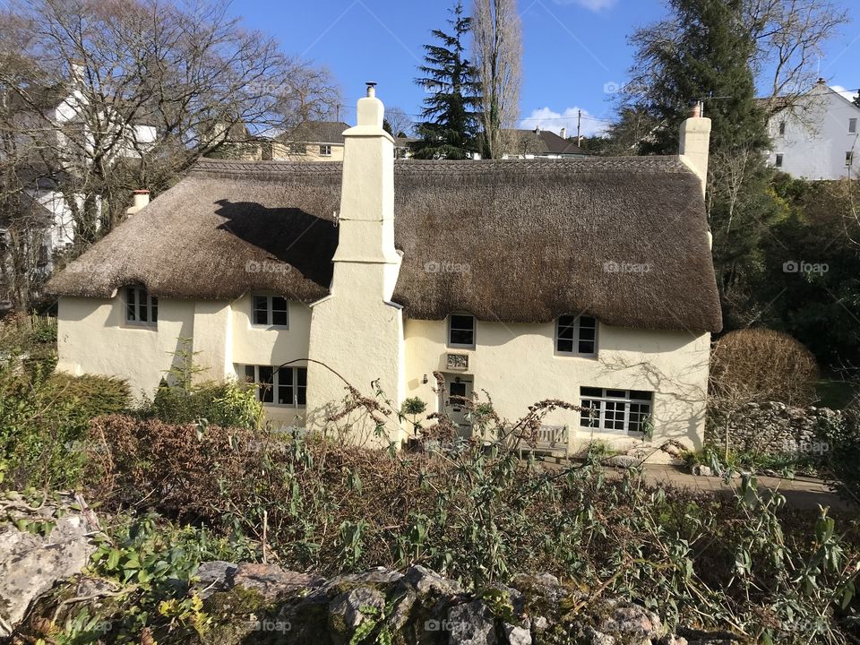 One of the gorgeous thatched Devon village cottages, today in superb March sunshine.