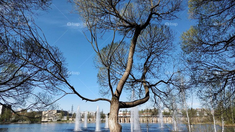 Bright spring day in a park in Oulu, Finland