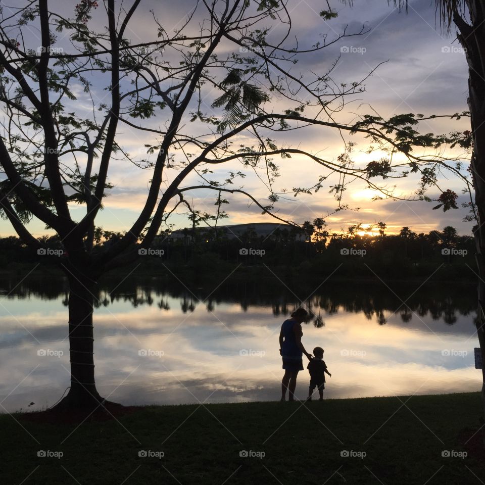 Tree, Lake, Silhouette, Water, Dawn