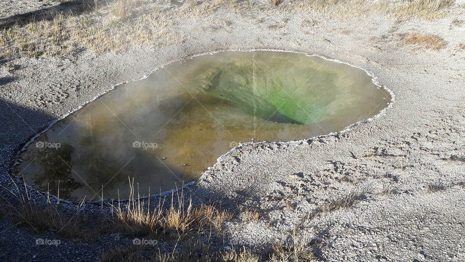 Yellowstone pond