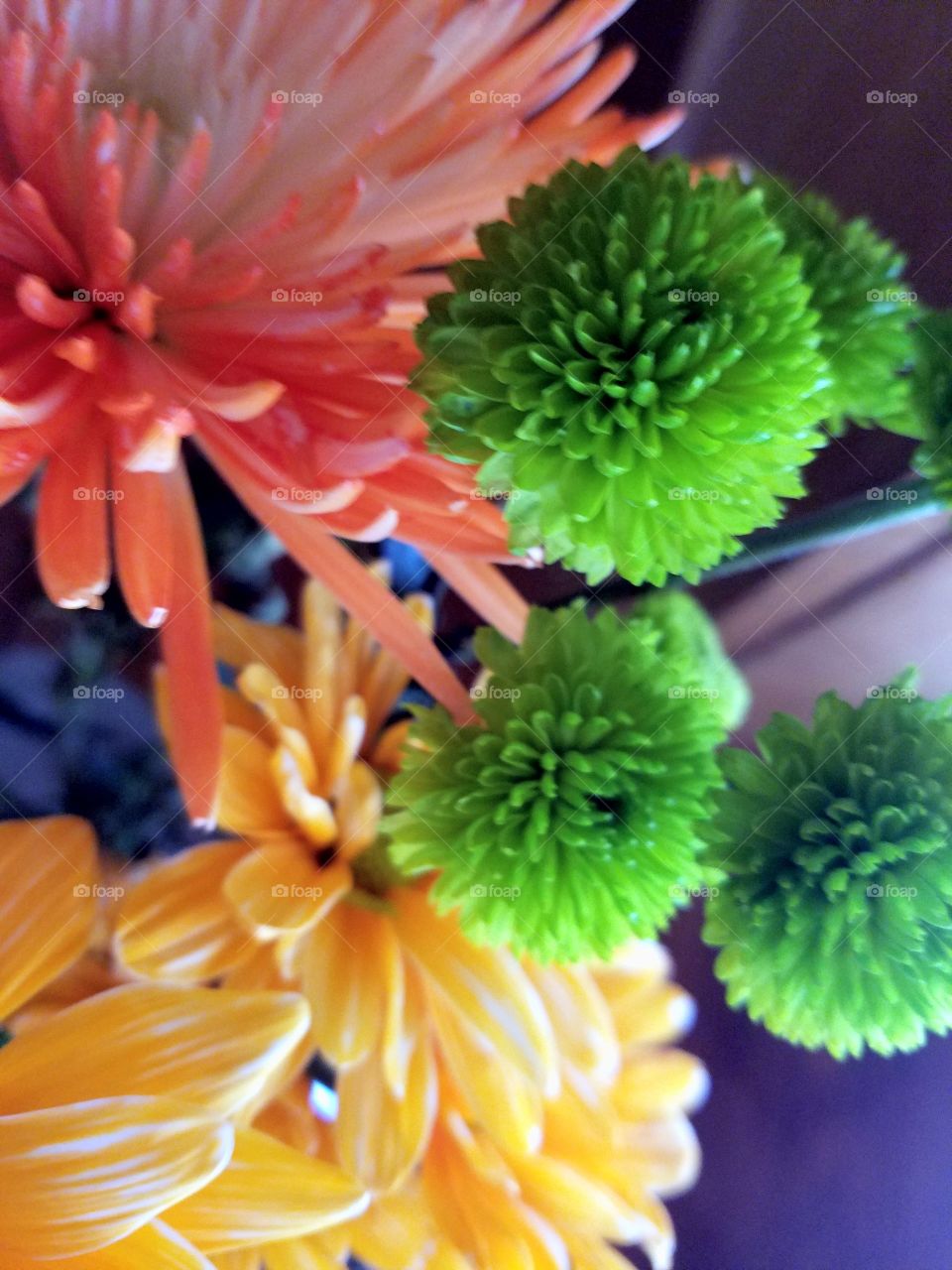 colorful flowers.  orange to green.