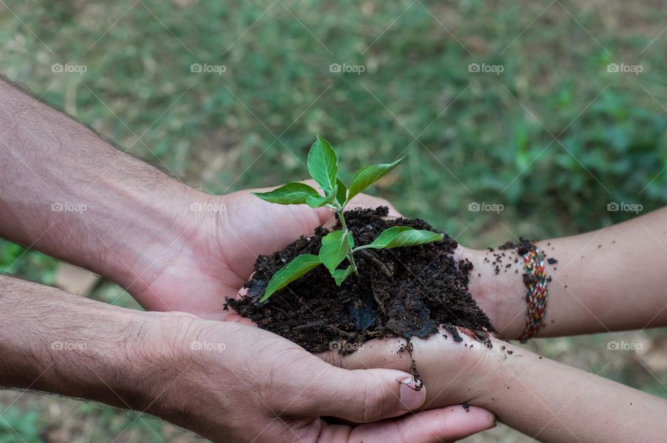 Planting plant.