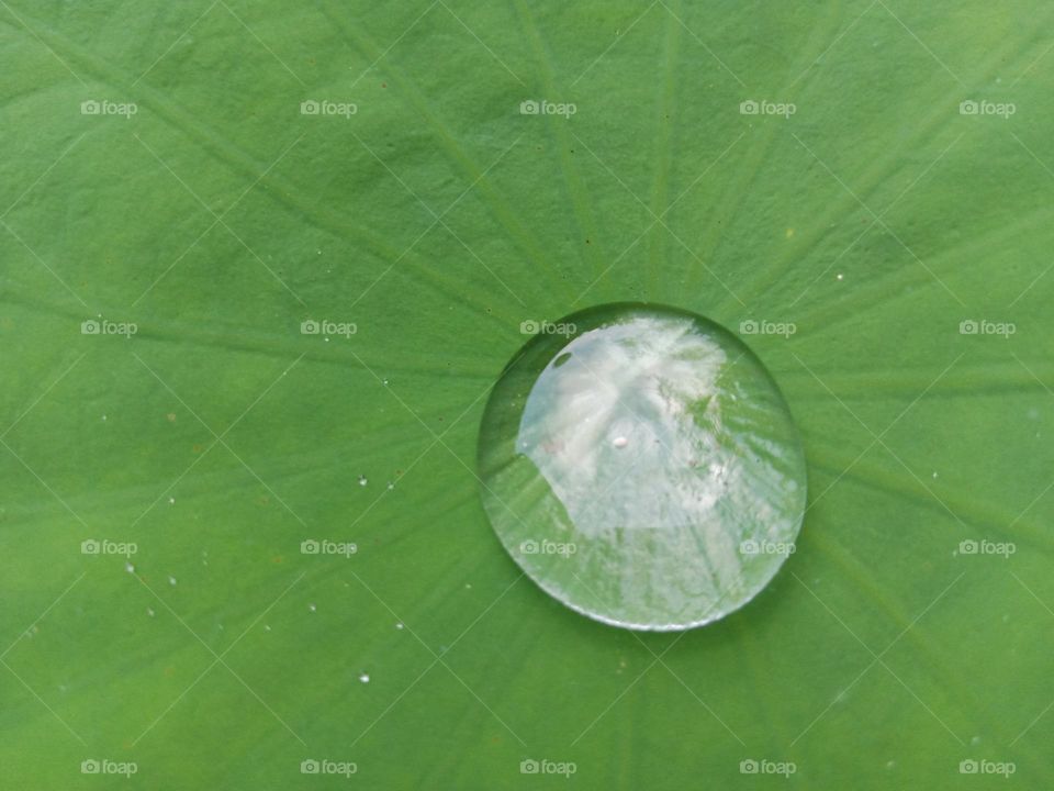 drop of water