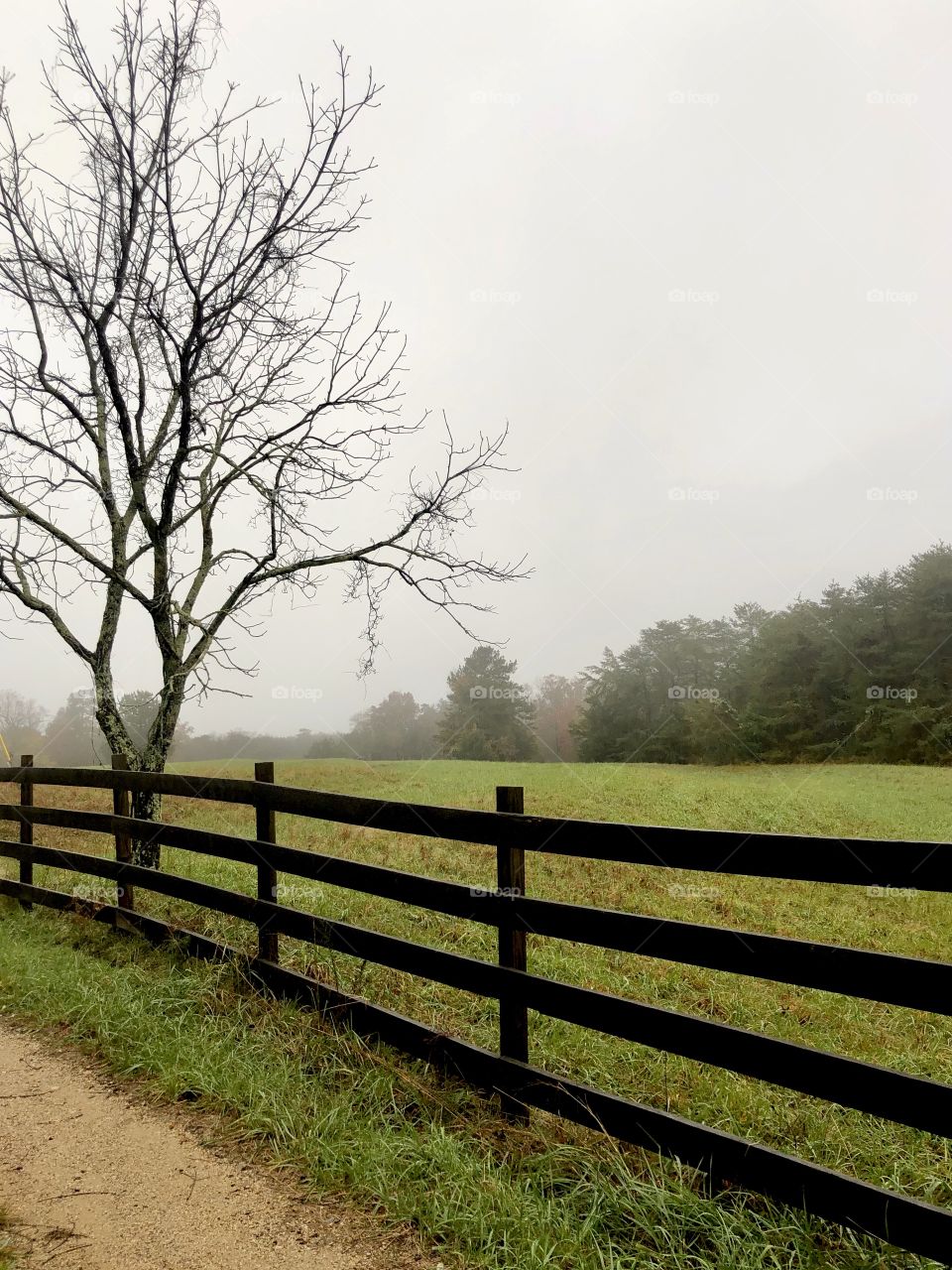 Rainy day on the farm