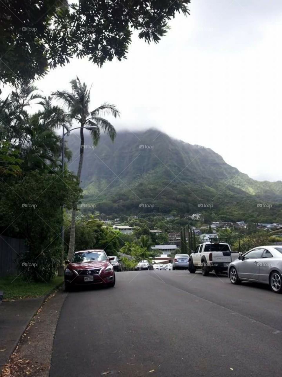 Amazing mountain view in Hawaii
