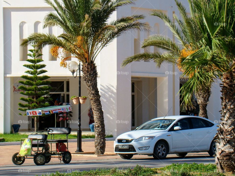 Summer in Yasmine Hammamet, Tunisia