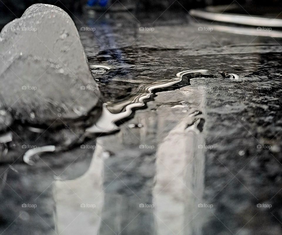 I saw the ice melt and it occurred to me to take a photo of them and this was the result