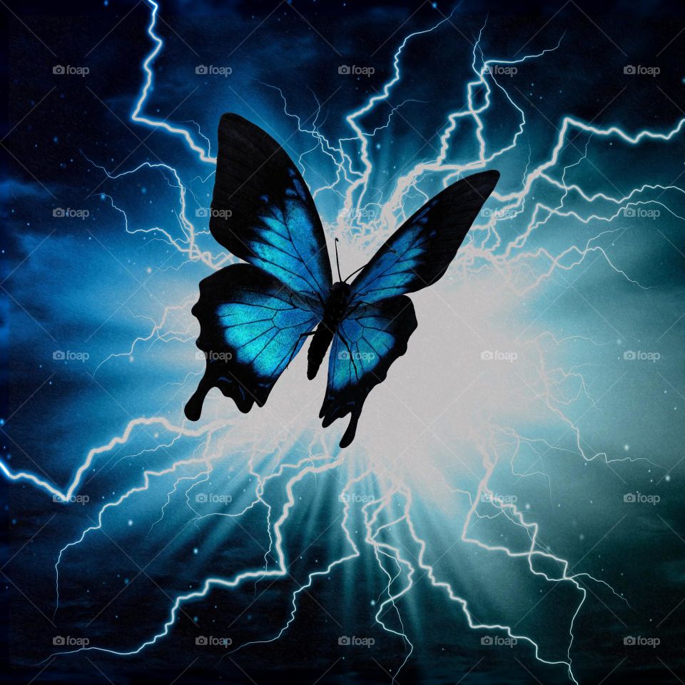 butterfly artwork design