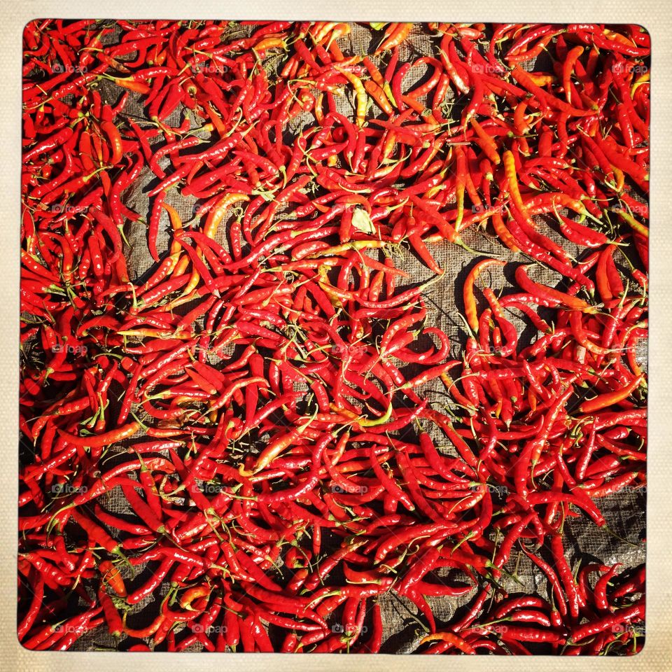 Chili, Pepper, Spice, Hot, Cayenne