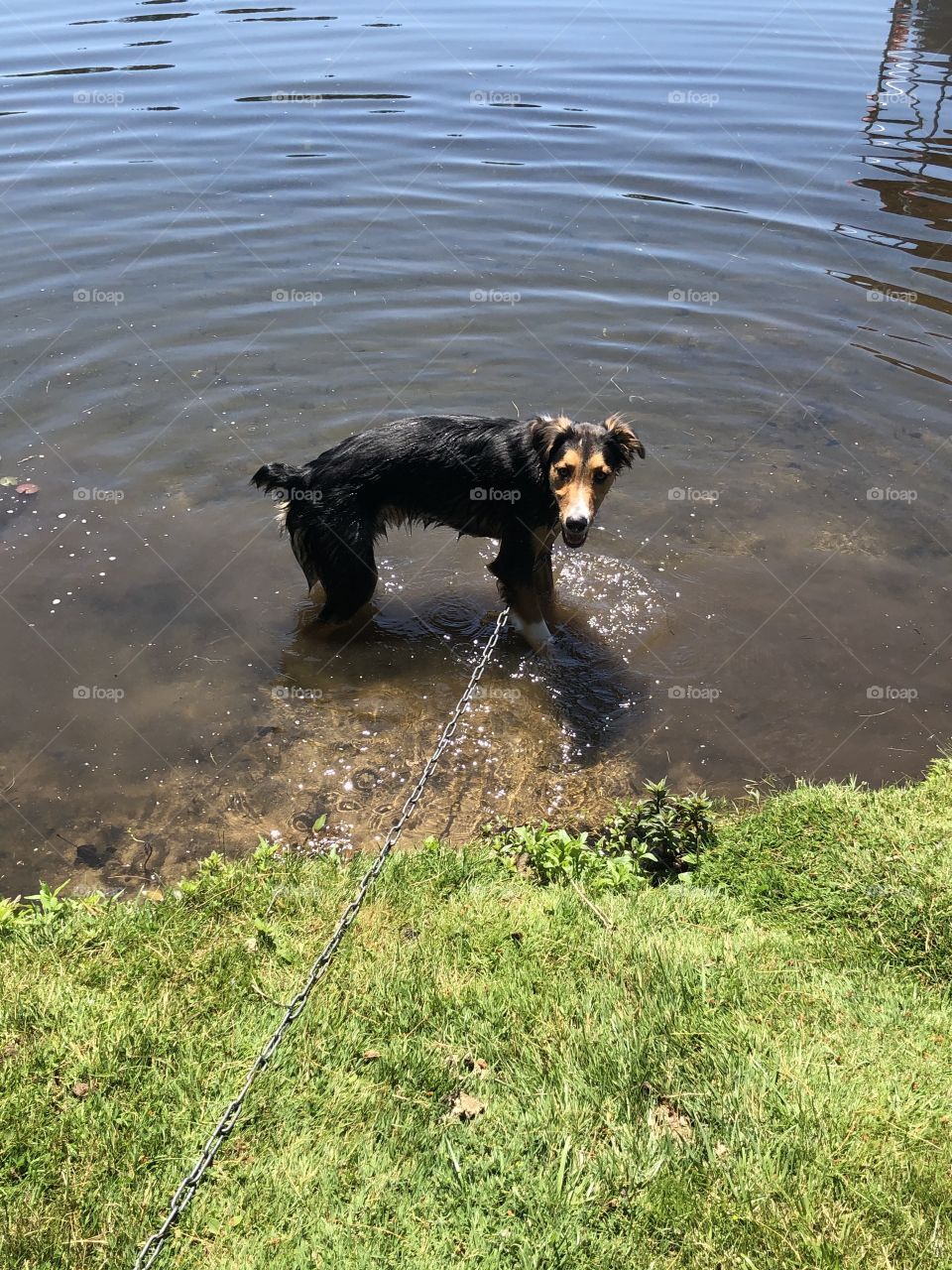 Playing in the water
