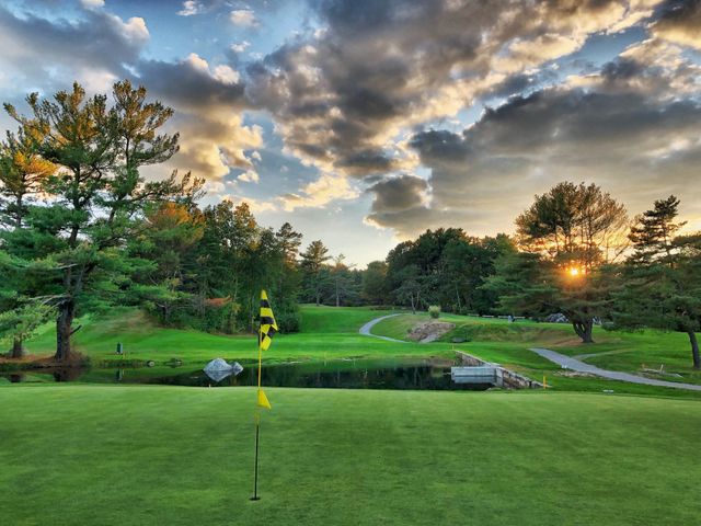 Nineth Green 