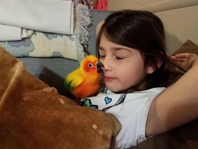 Childhood is the best memories