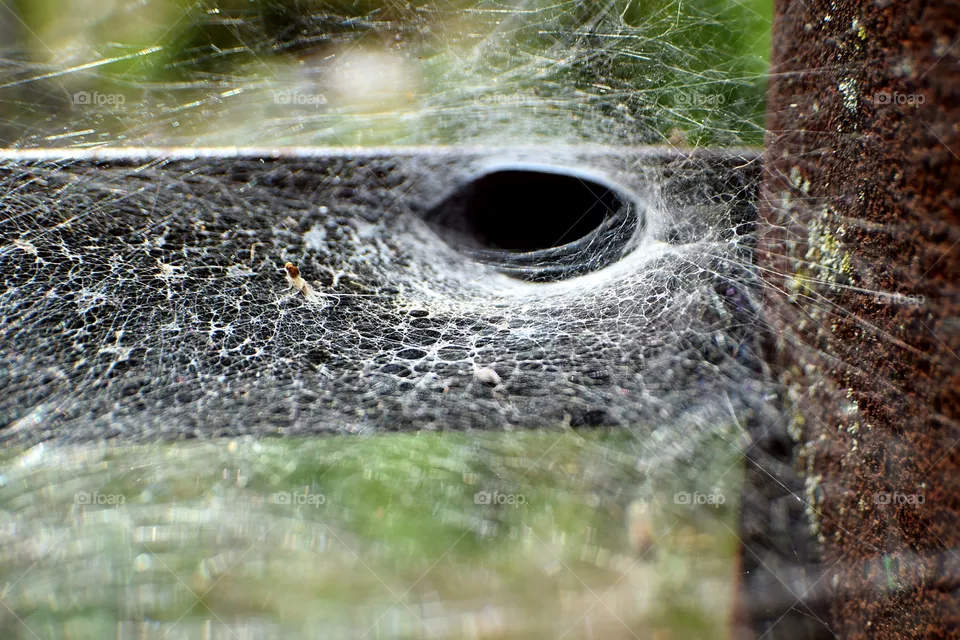 web