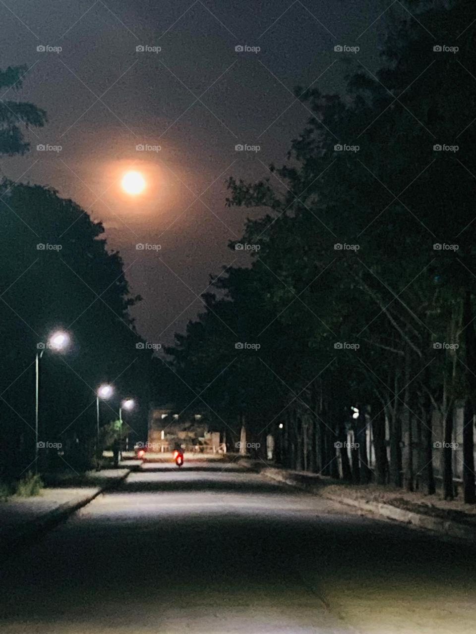 Under the moonlight#A night stroll