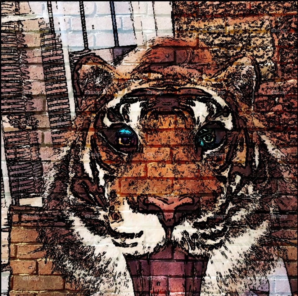 Tiger, wall art