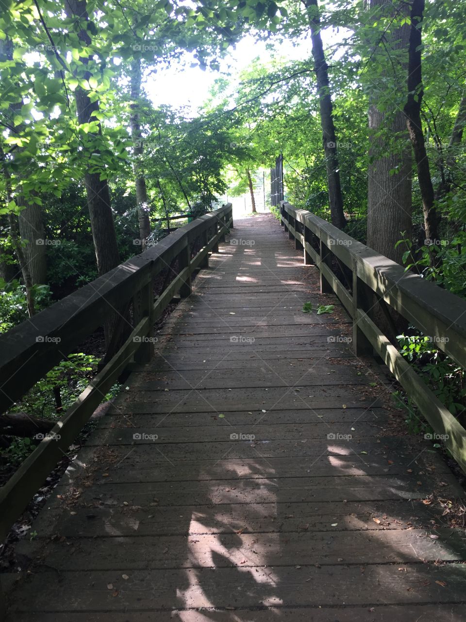 Holmdel Park - creek bridge- NJ