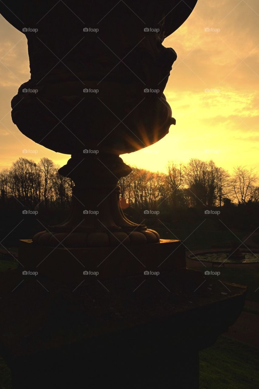 Sunset In The Park, Planter Silhouette In The Sun, Avenham Park Sunset 