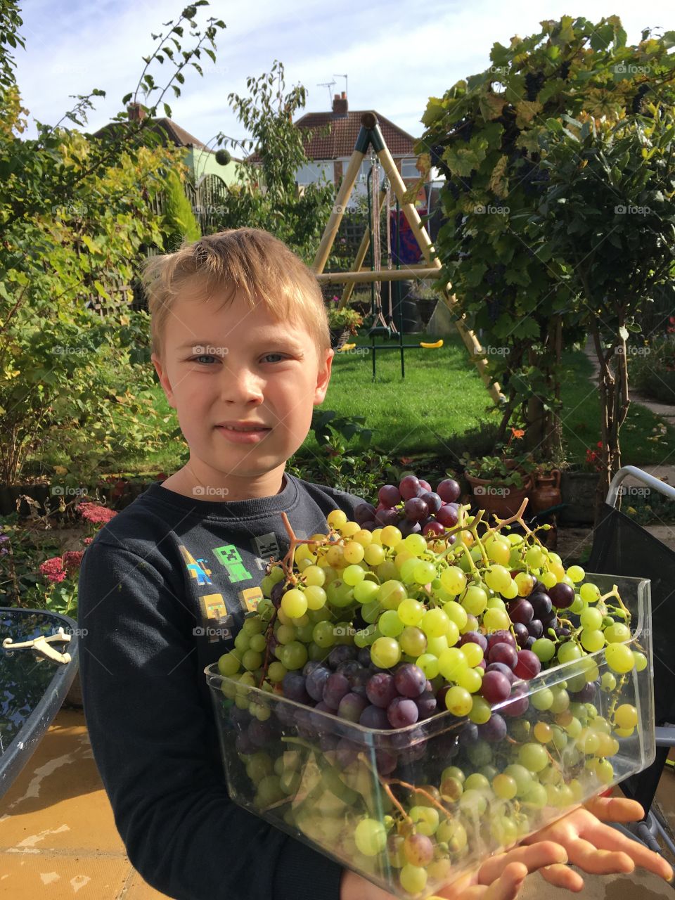 Harvested 1 out of 3 grapevines! (Yes it has one branch giving purple 🍇)! ☺️