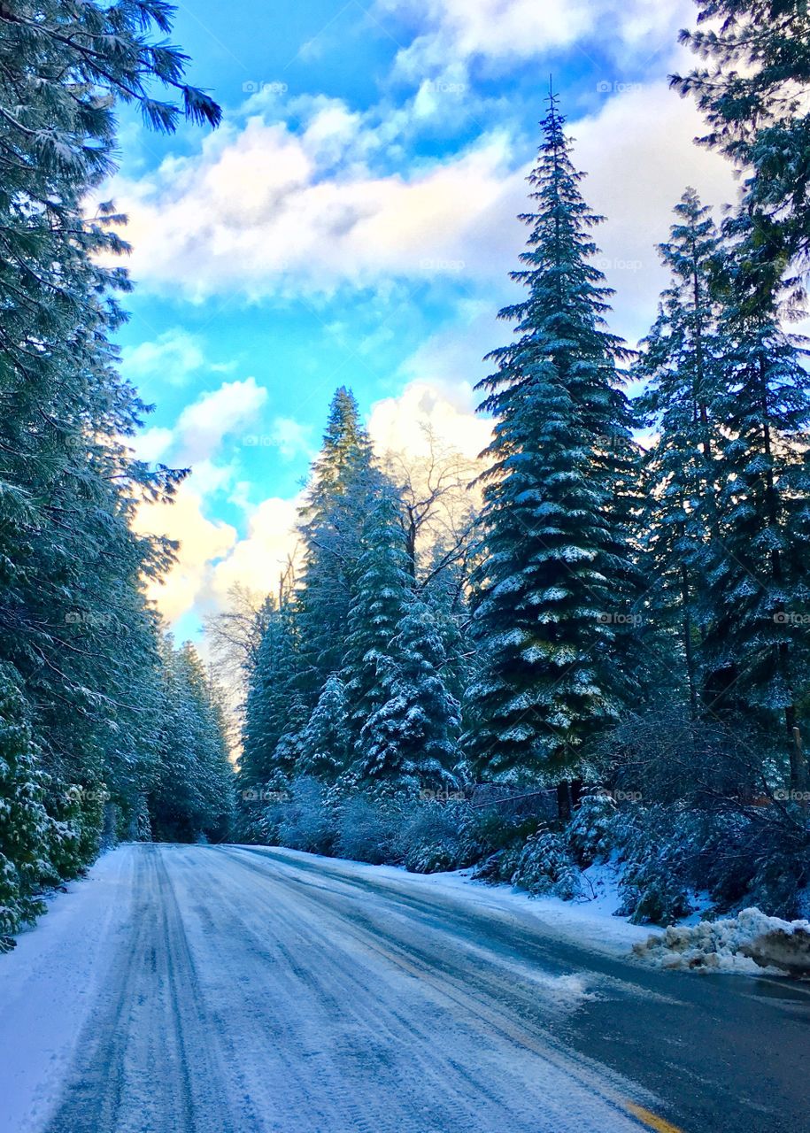 Empty snowy road in winter