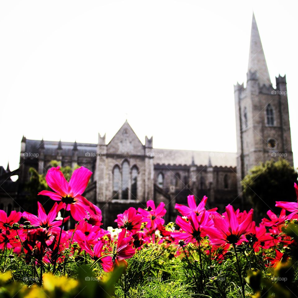 Flower box in front of cathedral 