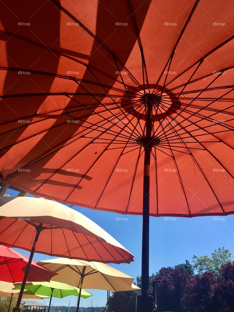 Umbrellas outside on patio 